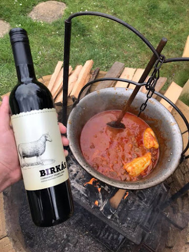 Comentarii opinii despre Birkás Bor- Pezsgőház