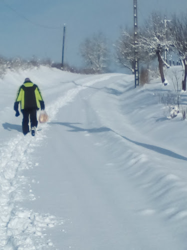 Comentarii opinii despre Lila Büfé