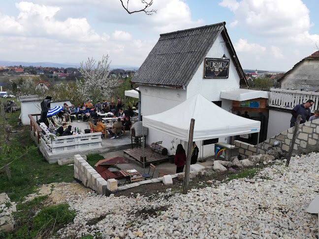 Etyek, Újhegyi dűlő, 2091