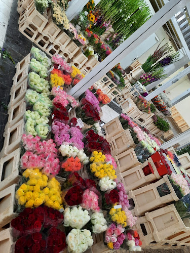 Comentarii opinii despre Budapesti Virágpiac - Nagykereskedelem