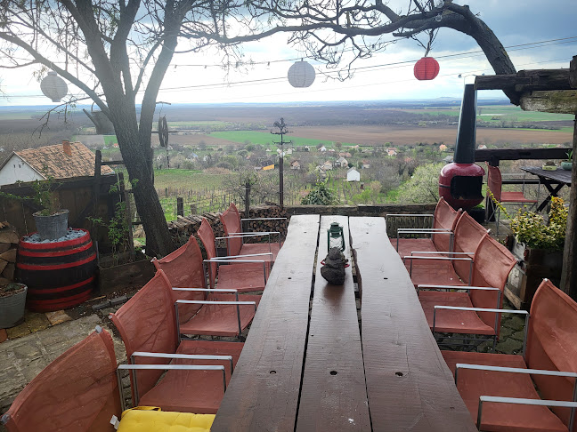 Opinii despre Inhauser Pincészet & Restaurant & Guesthouse în Somlószőlős - Vendéglátás