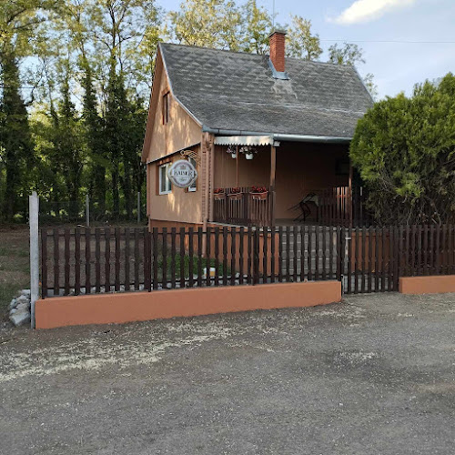 Comentarii opinii despre Szalai Étterem