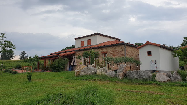 Taverna Görög Vendéglő - Vendéglátás