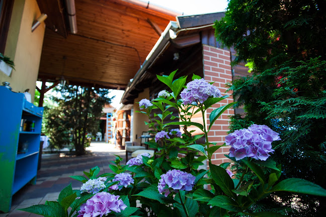 Észak-Kelet Kávézó - Vendéglátás