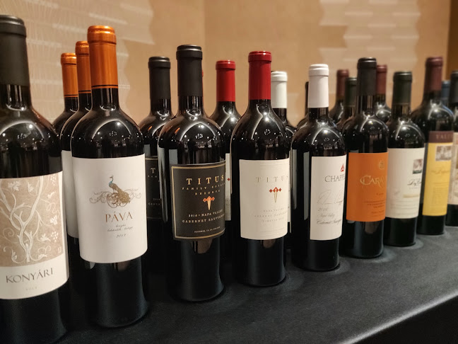 Comentarii opinii despre Cellarius Kft.