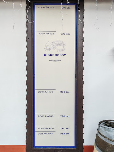 Kiskőrössy Halászcsárda - Vendéglátás