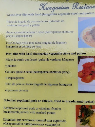 Comentarii opinii despre Sörforrás étterem