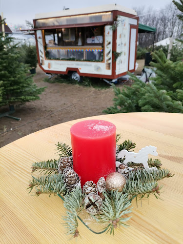 Kiss-Bereczki Kürtőskalács Hajdúböszörmény