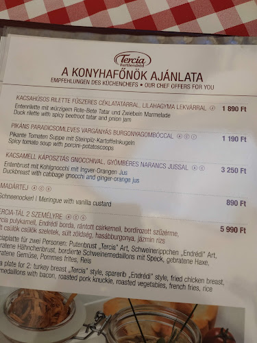 Tercia Fertőendréd