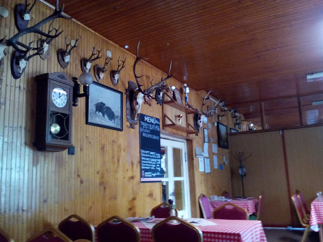 Nyíri Fészek Kisvendéglő - Vendéglátás