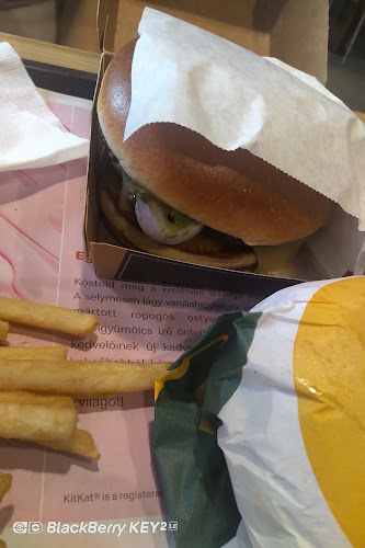 Szolnok, Thököly út 51, 5000