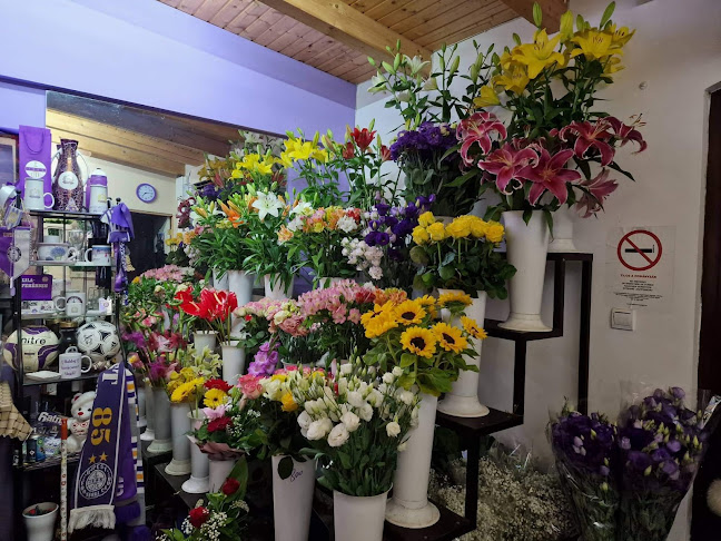 Szemlics Virág Kft - Vendéglátás