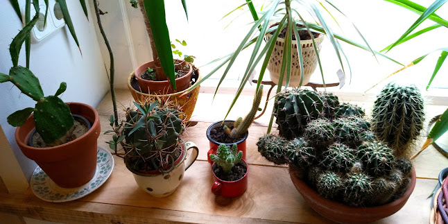 Budapest, Magyar u. 16, 1053