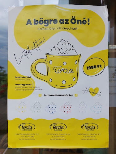 Fertőendréd, Győri út 2, 9442