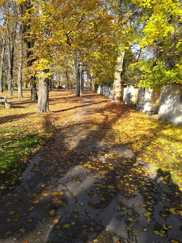 Opinii despre Park Presszó în Pápa - Vendéglátás