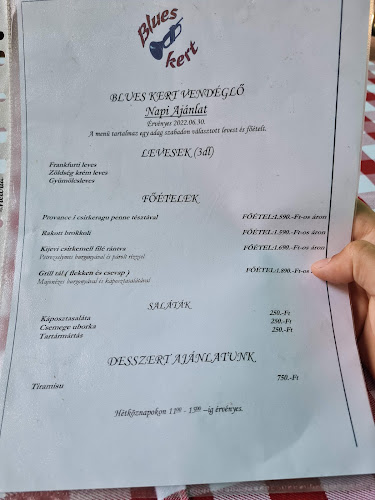 Blues Kert Vendéglő - Vendéglátás
