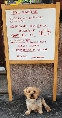 Opinii despre Kicsi Ír Kávézó în Budapest - Vendéglátás