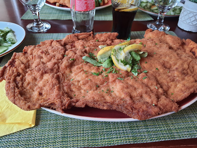 Comentarii opinii despre Tolnay Vendéglő