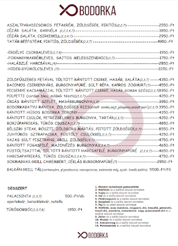 Opinii despre Bodorka Étterem és Panzió în Dunavarsány - Vendéglátás