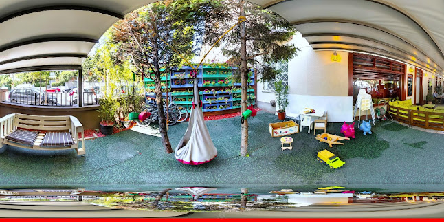 Park vendéglő - Vendéglátás