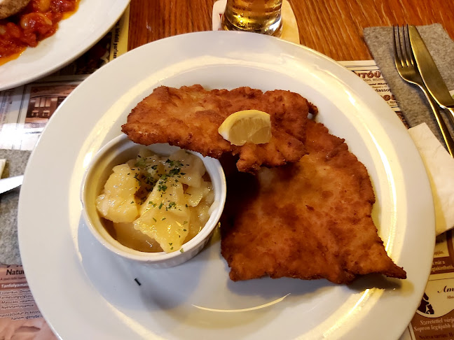 Comentarii opinii despre Puskás Söröző és Étterem