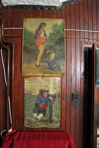 Comentarii opinii despre Volán Klub