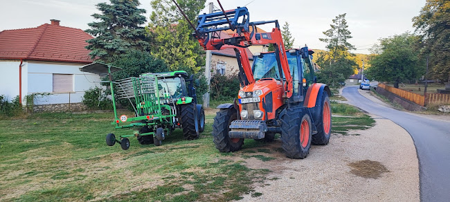 Opinii despre Ströcker Vendéglő în Dunaszentmiklós - Vendéglátás