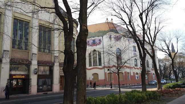 Rose'n Night Bar - panzió és bár, exkluzív bár, medence és szauna