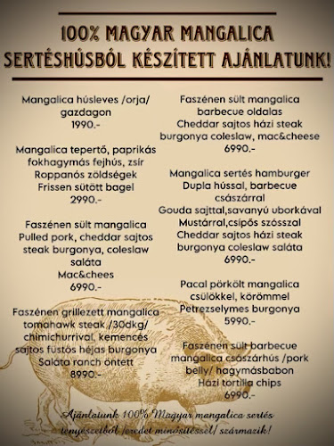 Happy Day Barbecue & Burger Bár Étterem Gödöllő