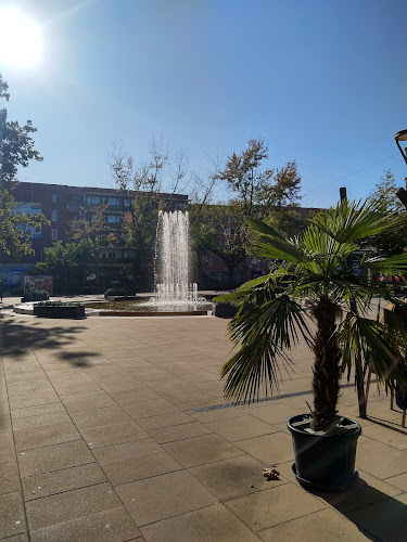 Comentarii opinii despre Shanghai Kínai Étterem