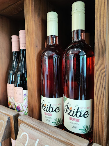 Comentarii opinii despre Borfalu