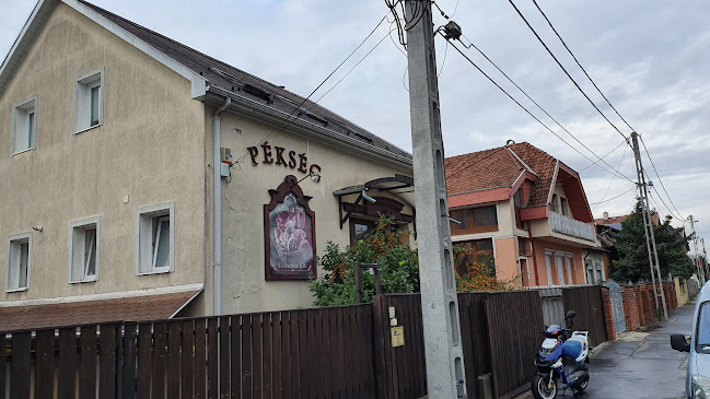 Kemence Sütőipari Kft.