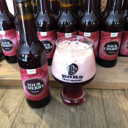 Győrzámoly Rákóczi Út (48) Felöl, 9172