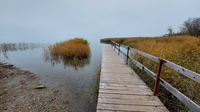 Balatonvilágos, Zrínyi út 122, 8171