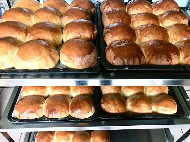 Comentarii opinii despre Vincent Grill & Beer