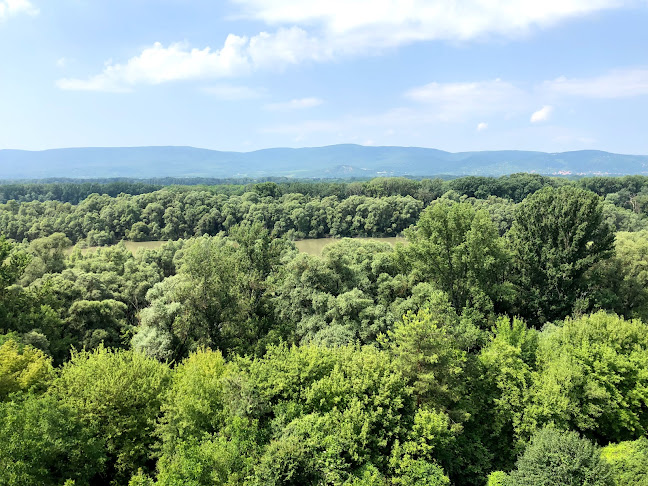 Vác, Sánc dűlő, 2600 Magyarország