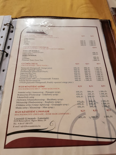 Comentarii opinii despre Borcsa Étterem