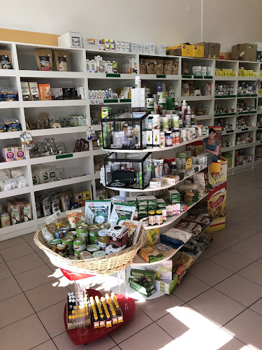 Táplálék allergia és biobolt - Vendéglátás