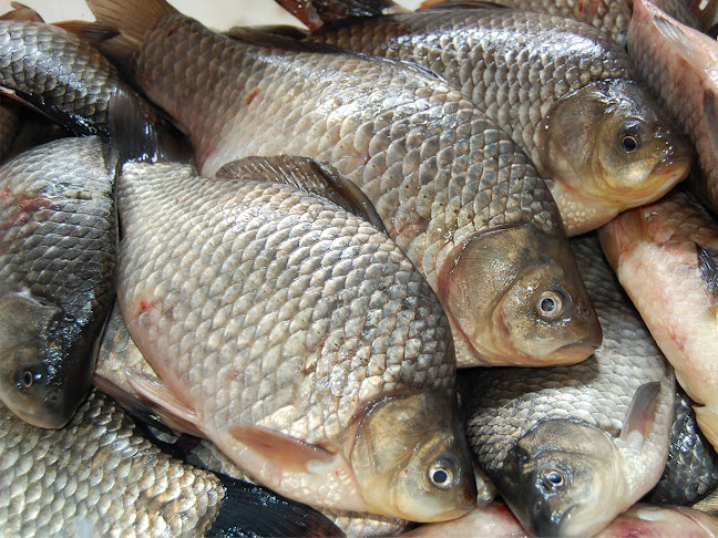 Ko-Di Bt. - Vendéglátás