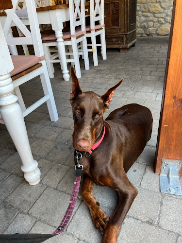 Opinii despre Szabi pékség, bazsalikom în Budapest - Vendéglátás