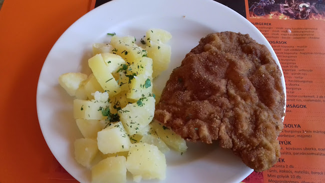 Százhalombatta, Nap u. 1, 2440