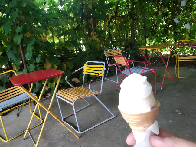 Hirschmann Fagyizó - Zamárdi