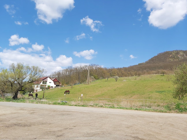 Fa-Ló Büfé - Vendéglátás