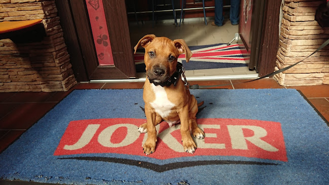 Opinii despre Édenkert în Zalaegerszeg - Vendéglátás