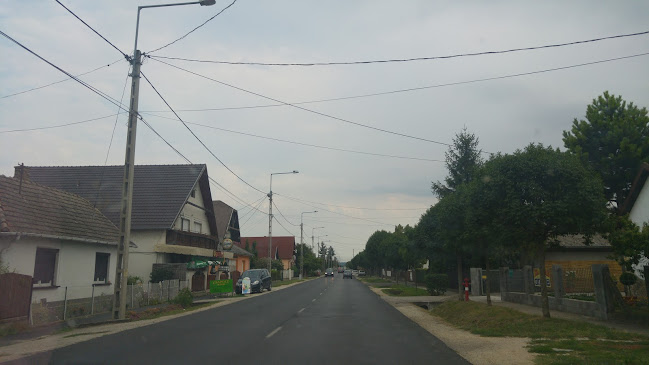 67-es Betérő kávézó - Vendéglátás