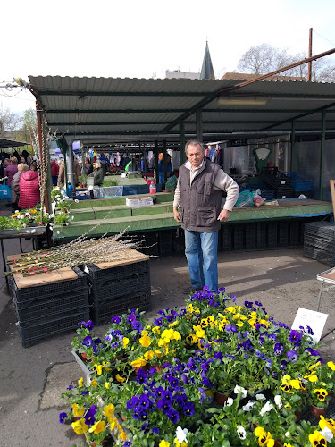 bolgárkertész stand