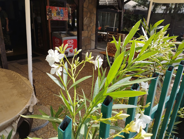 Amigo Eszpresszó - Vendéglátás