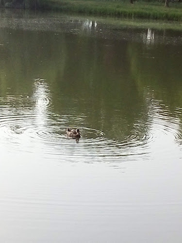 Füzes Presszó - Ózd