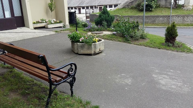 Vanília Fagyizó - Vendéglátás