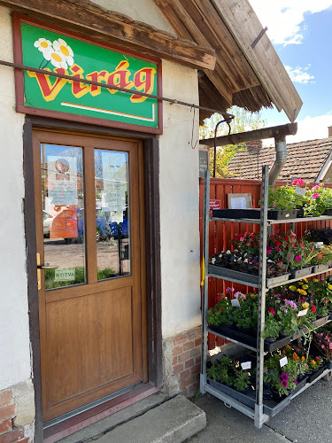 Opinii despre Virágbolt Öcsöd în Öcsöd - Vendéglátás